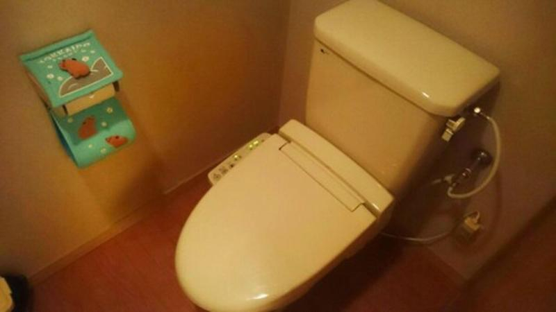 Bathroom 1, 然別湖畔温泉ホテル風水, Shikaoi