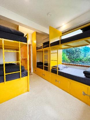 4, Young Monk Homestay Jibhi, Kullu