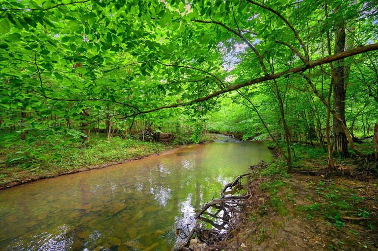 Room 2, Sleeps 18 - Hot Tub - Playground - Games - Firepit, McCurtain