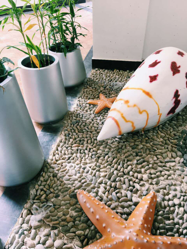 Food & Drinks, Yunshu Sea-view Holiday Apartment, Beihai