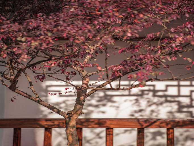 Others 3, ·リゾートホテル(), Leshan