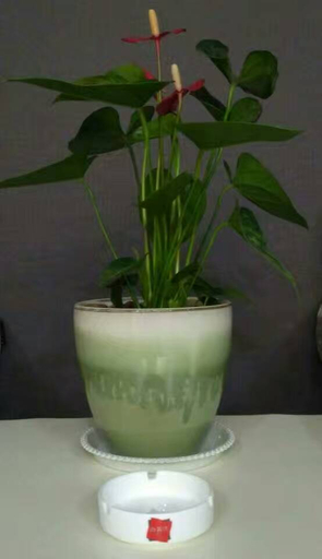 Food & Drinks, Shankee Hotel (Weinan Jiefang Road), Weinan