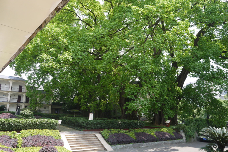 Others 5, Emeishan Hotel, Leshan