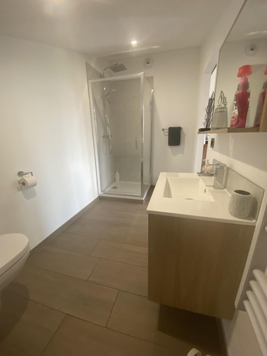 Bathroom 5, ル クロ デ ポミエ, Haut-Rhin