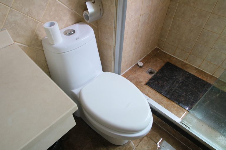 Bathroom 4, Hanting Hotel Shanghai Songjiang University Town, Shanghai
