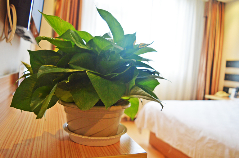 Bedroom 2, James Joyce Coffetel Shijiazhuang Railway Station West Square, Shijiazhuang