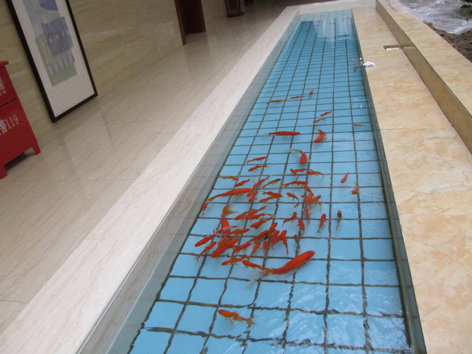 Sport & Beauty 3, Chenglin Hotel, Jiuquan