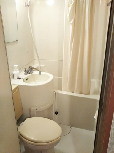 Bathroom 3, Kawasaki Station INN, Kawasaki
