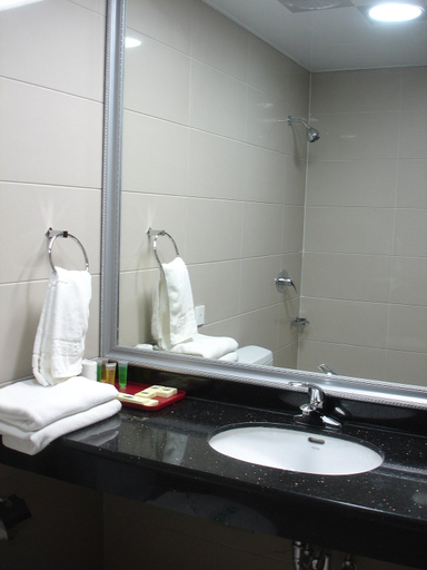 Bathroom 4, Holiday Inn Altay Golden Bridge, Altay