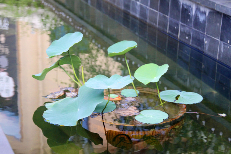Sport & Beauty 5, Xige Garden Hotel, Xiamen