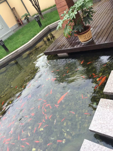 Others 3, 마이필 호텔 (저장 통신학원), Hangzhou