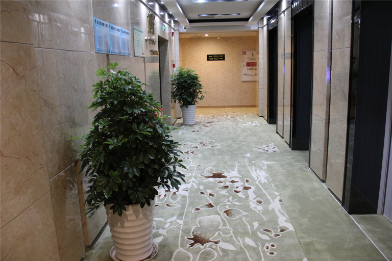 Others 2, Haoma Shangpin Hotel (Chongqing Yuanyang Light Rail Station), Chongqing