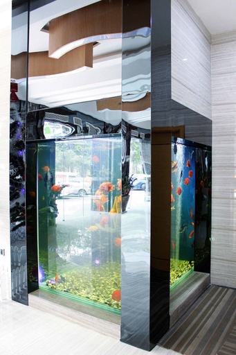 Others 5, ブティックホテル(セン3ターミナル), Shenzhen