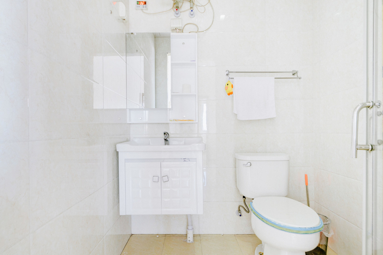 Bathroom 3, Baijia Apartment Development Zone, Harbin