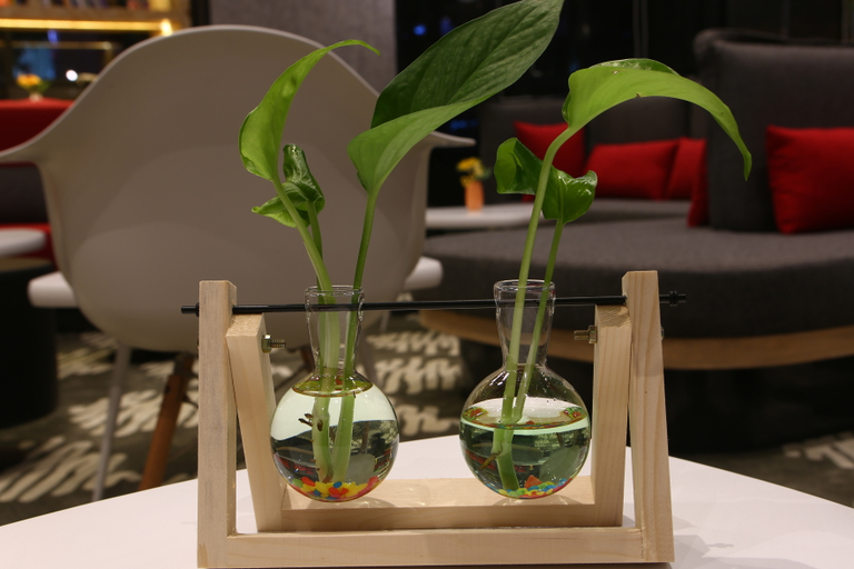 Food & Drinks 5, Ibis Yongcheng Jinboda Plaza Hotel, Shangqiu