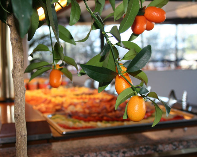 Food & Drinks 5, 호텔 마리나 유노, Udine