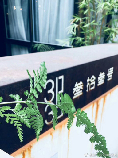 Others 4, One Dream Seaview Homestay, Xiamen