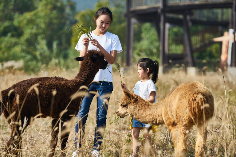 Family & Kids 4, Club Med Joyview Anji, Huzhou