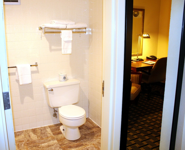 Bathroom 3, Econo Lodge Inn & Suites Brookings, SD, Brookings