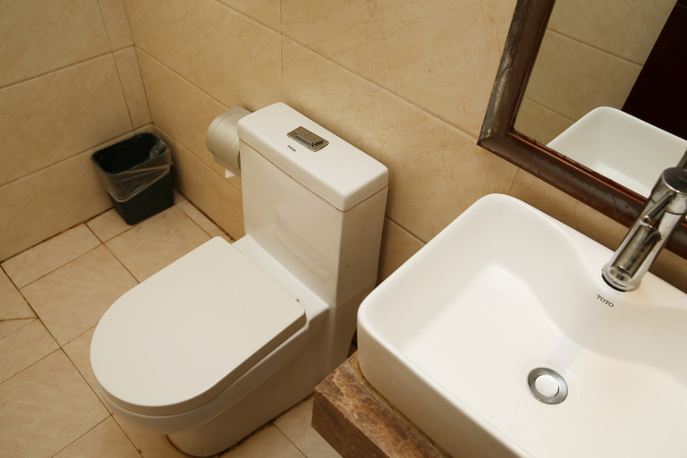 Bathroom 2, Xingcheng Hotel, Jining