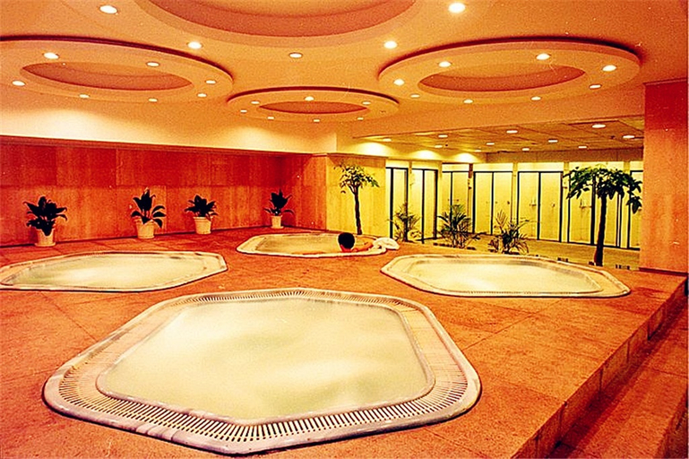 Business Facilities, ドルトンホテル, Changsha