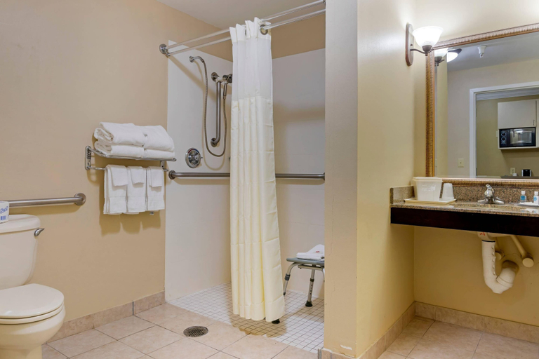 Bathroom 4, Comfort Suites Savannah North I-95, Chatham