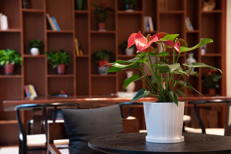 Food & Drinks 4, Poltton International Apartment Liuzhou Yaobu Old Town, Liuzhou