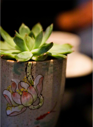 Food & Drinks 5, Lotus Villa Hotel, Liuzhou