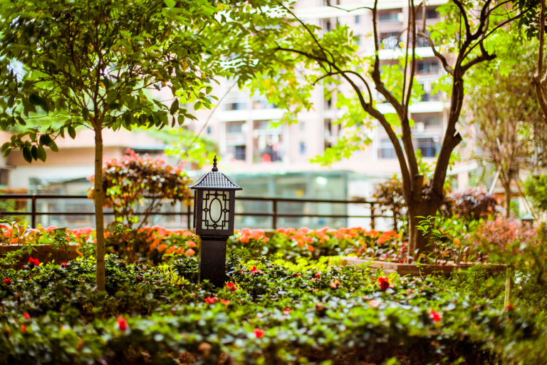 Others 4, Zhong Yu Garden Hotel, Dongguan