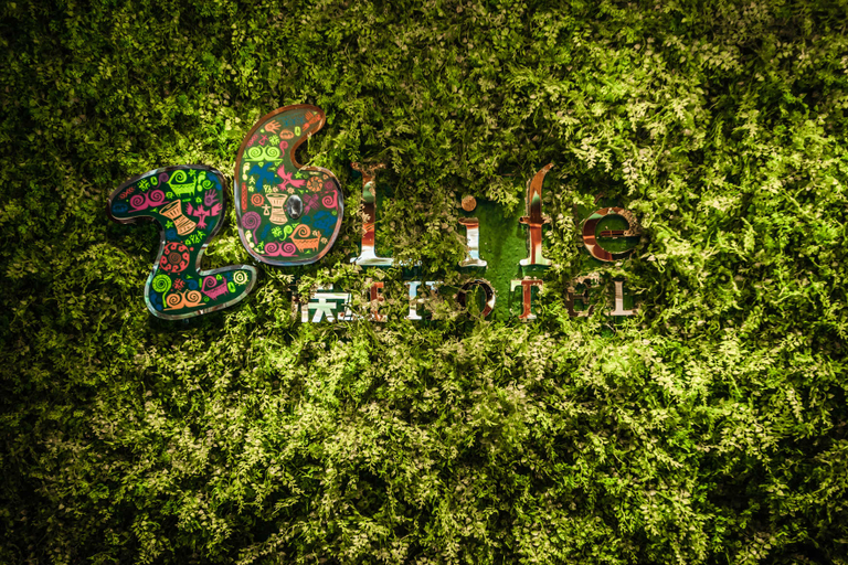 Others 4, 26Life Yunnan ethnic creative Inn(Binjiangstore,Xishuangbanna), Xishuangbanna Dai