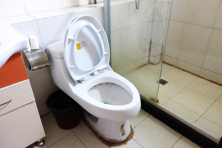 Bathroom 5, shanghai haiyan hotel, Shanghai