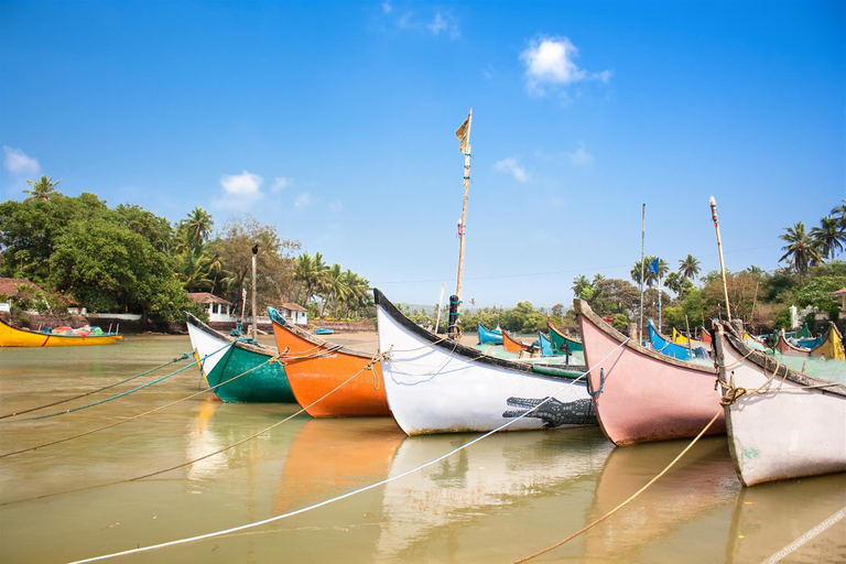 Others 5, sai residency baga, North Goa