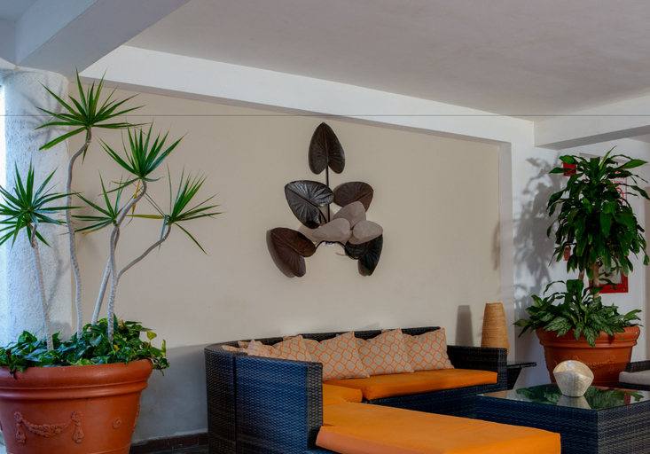 Public Area, Hotel LD Palm Beach, Antolín del Campo