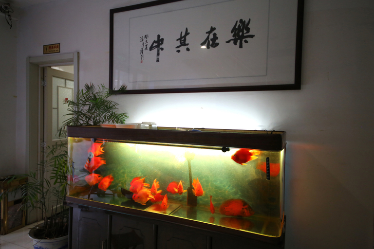 Others 5, Chunxiaqiudong Business Hotel, Jinan