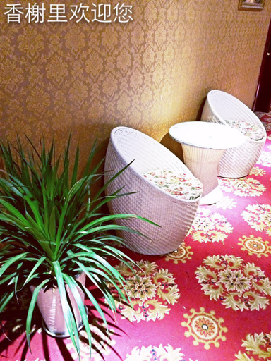 Others 5, Xiangxieli Hotel, Chongqing