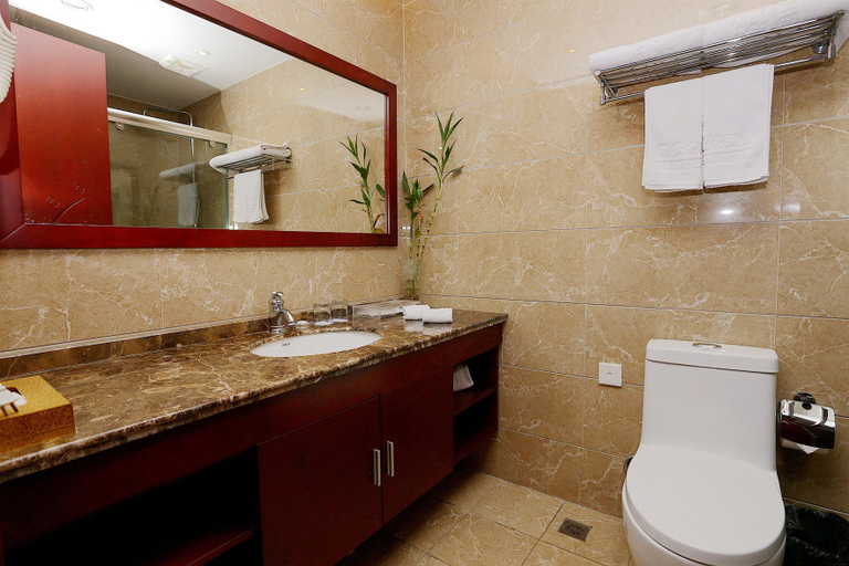 Bathroom 3, Starway Hotel Nanjing South Railway Station, Nanjing