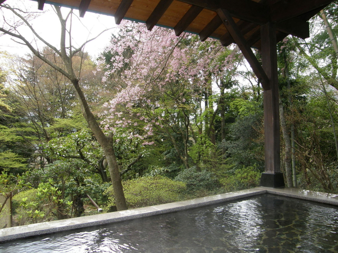 Sport & Beauty 5, Gora Kansuiro, Hakone