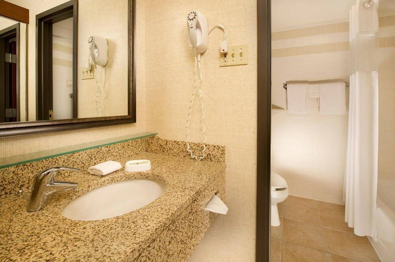 Bathroom, Drury Inn & Suites Atlanta Morrow, Clayton