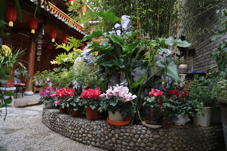 Others 3, Hualin Wanzhao Inn Lijiang, Lijiang