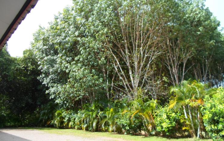 Others 4, Iyara Resort, Muang Chumphon
