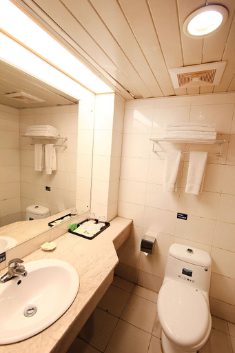 Bathroom 4, Ibis Chongqing Jiangbei International Airport Hotel, Chongqing