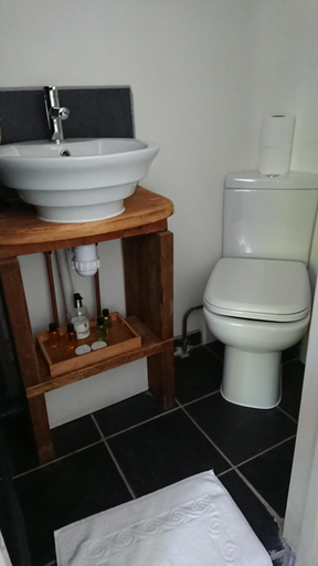 Bathroom 3, The Walkhampton Inn, Devon