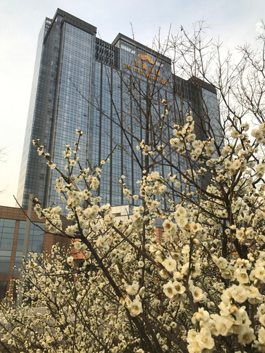 Exterior & Views 2, Sun Plaza International Hotel, Jining