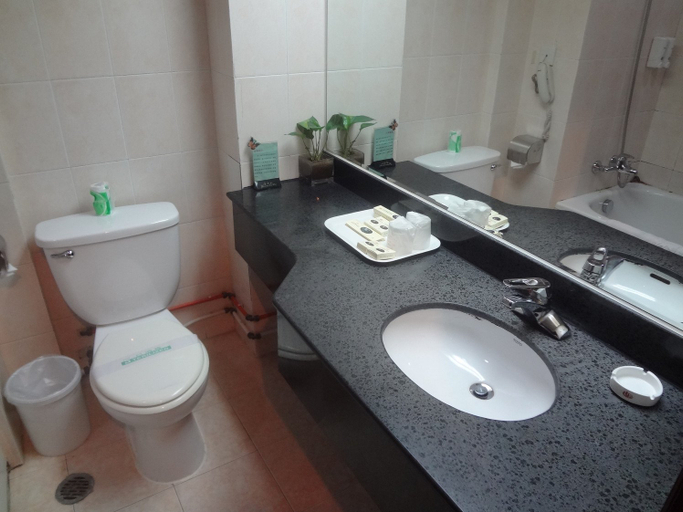 Bathroom 2, The Beijing Butterfly Spring Hotel, Beijing