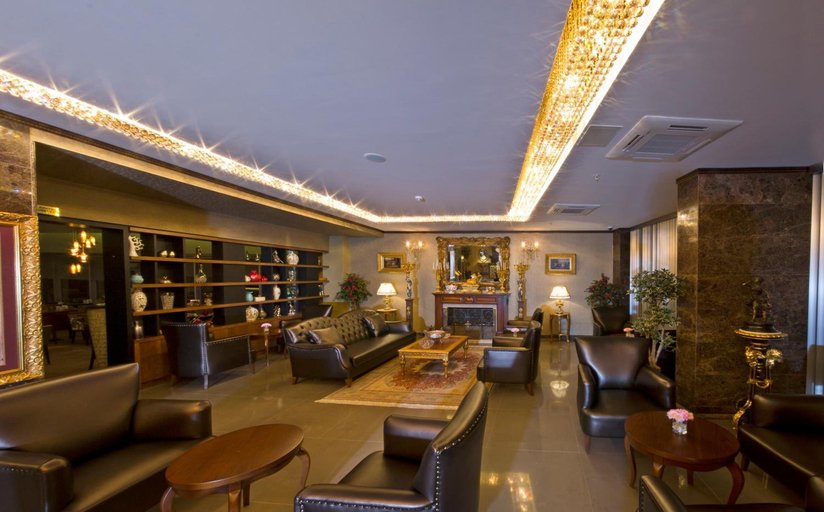 Public Area 4, Eretna Hotel, Merkez