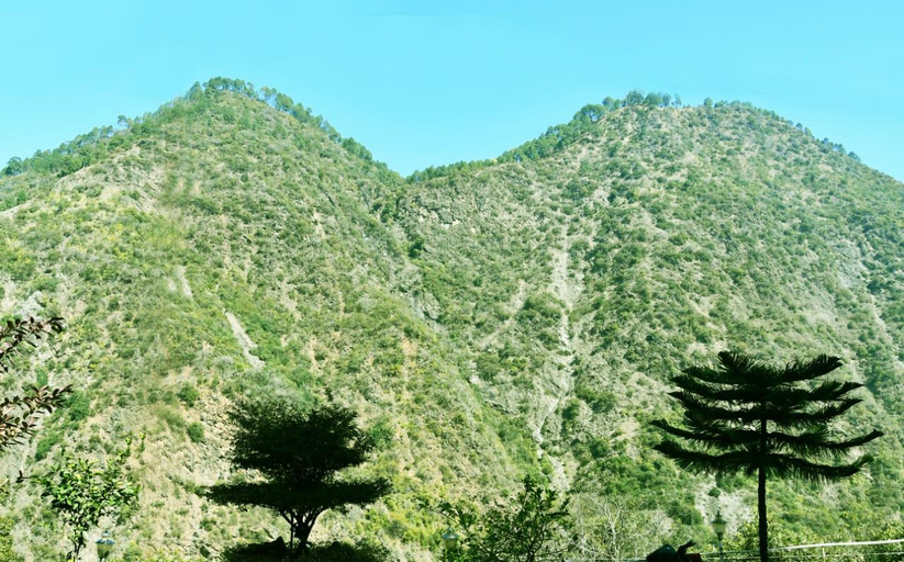 Others 5, Vamoose AR Resort, Chamoli