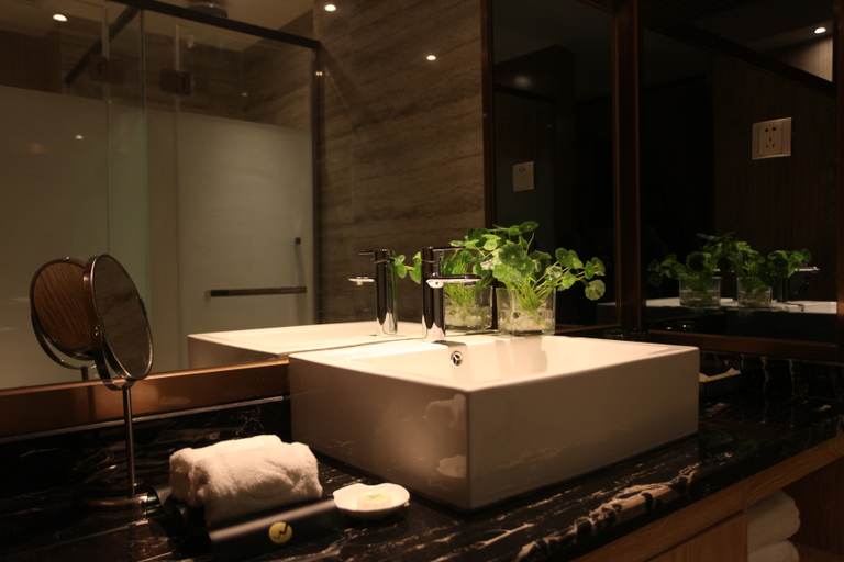 Bathroom, Liwan Hot Spring Resort, Ngawa Tibetan and Qiang