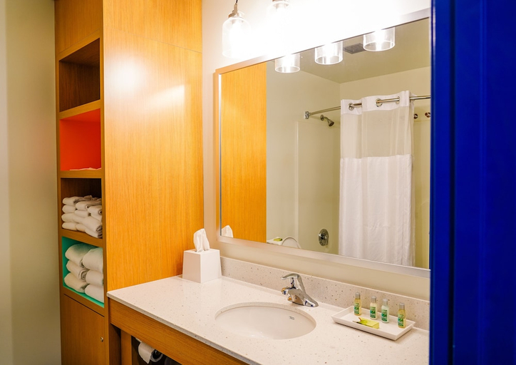 Bathroom, Cedar Points Castaway Bay, Erie