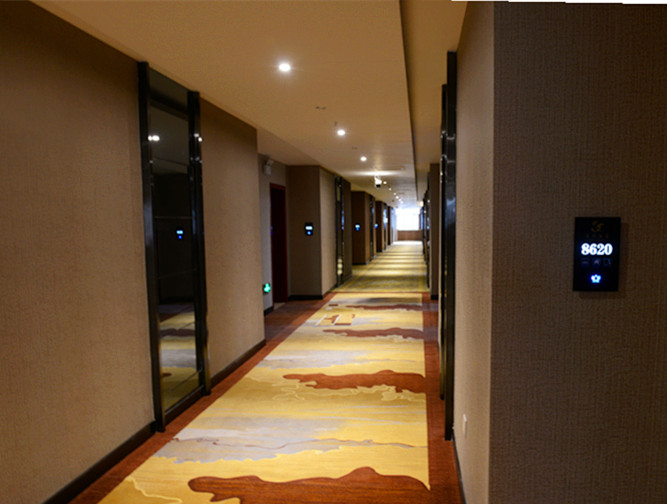 Others 5, Long Tu Hotel, Turfan