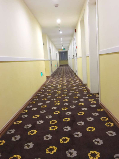 Others 3, Taishangdeng Hotel (Beijing Daxing Huangyi Road Public Security University Branch), Beijing